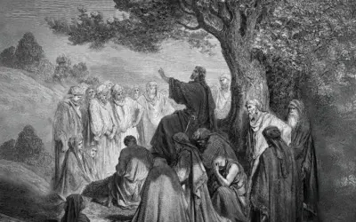 Công tác của người đào tạo môn đồ là gì?